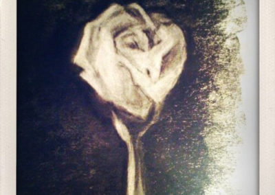 Charcoal Roses