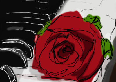 Rose Contour