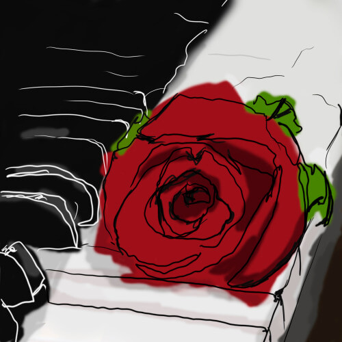 Rose Contour